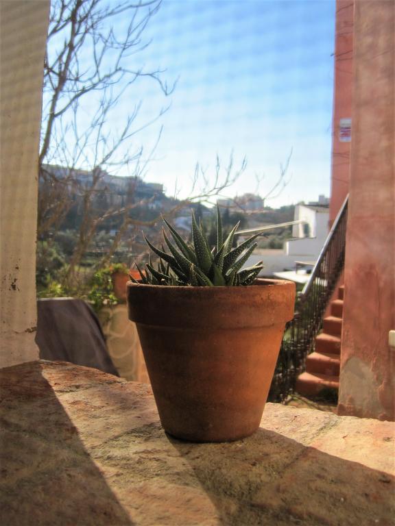 La Casina De Piedra Encanto - Parte Antigua De Caces Zewnętrze zdjęcie